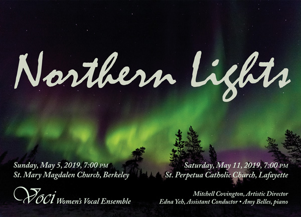 Poster for Northern Lights